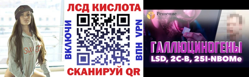 Марки N-bome 1500мкг  Купить закладки  Судогда 