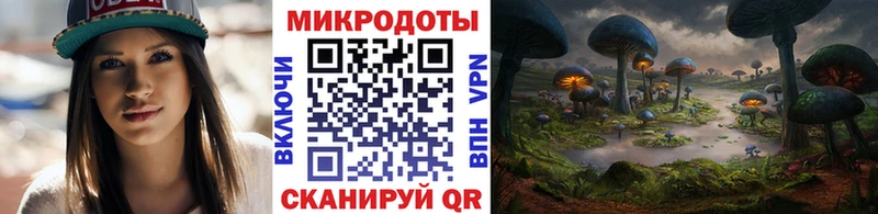 Купить где  Судогда  Псилоцибиновые грибы прущие грибы 